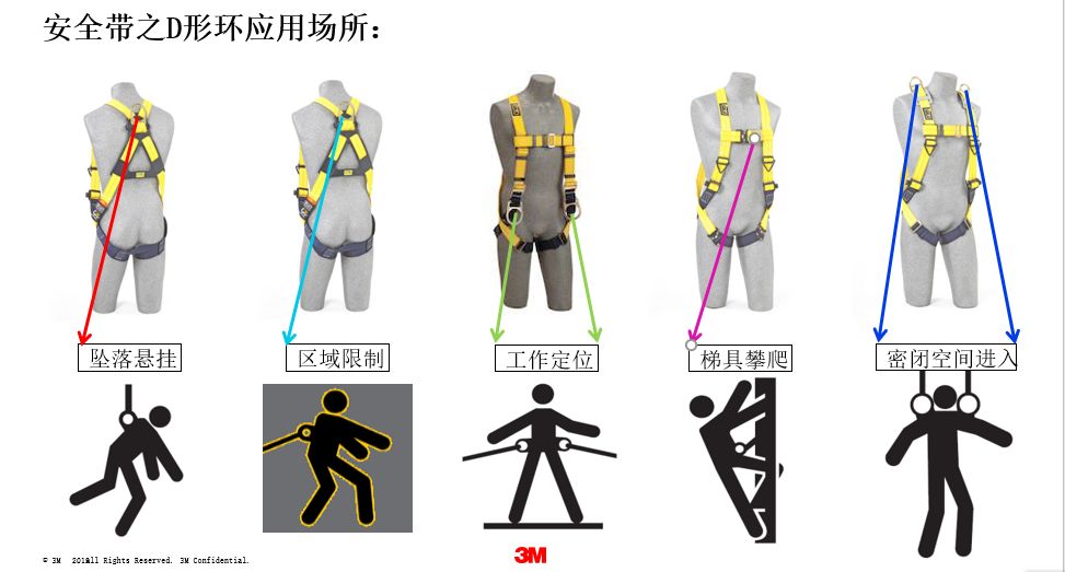 安全带
