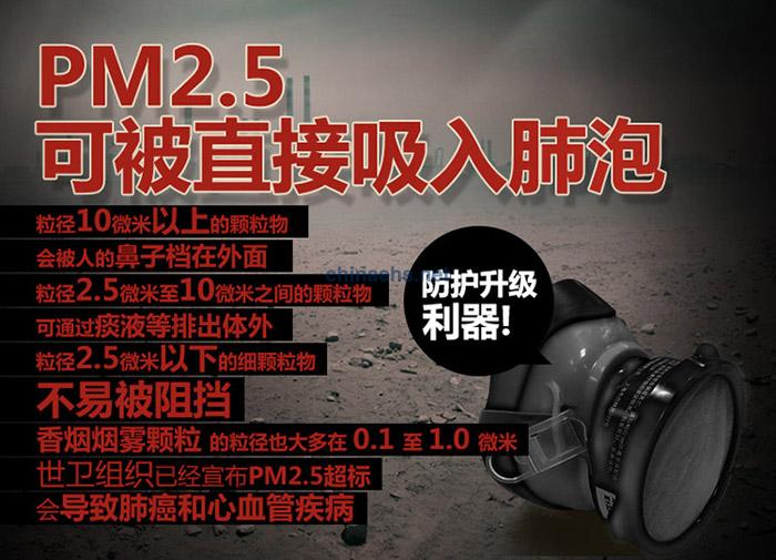 3M 1201 尘毒呼吸防护套装